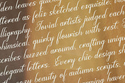 Olydemi | Beauty Script, a Script Font by Denustudios (Thumbnail 9 of 13)