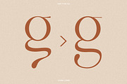 TAN - VIVRE LIBRE, a Serif Font by TanType (Thumbnail 16 of 17)