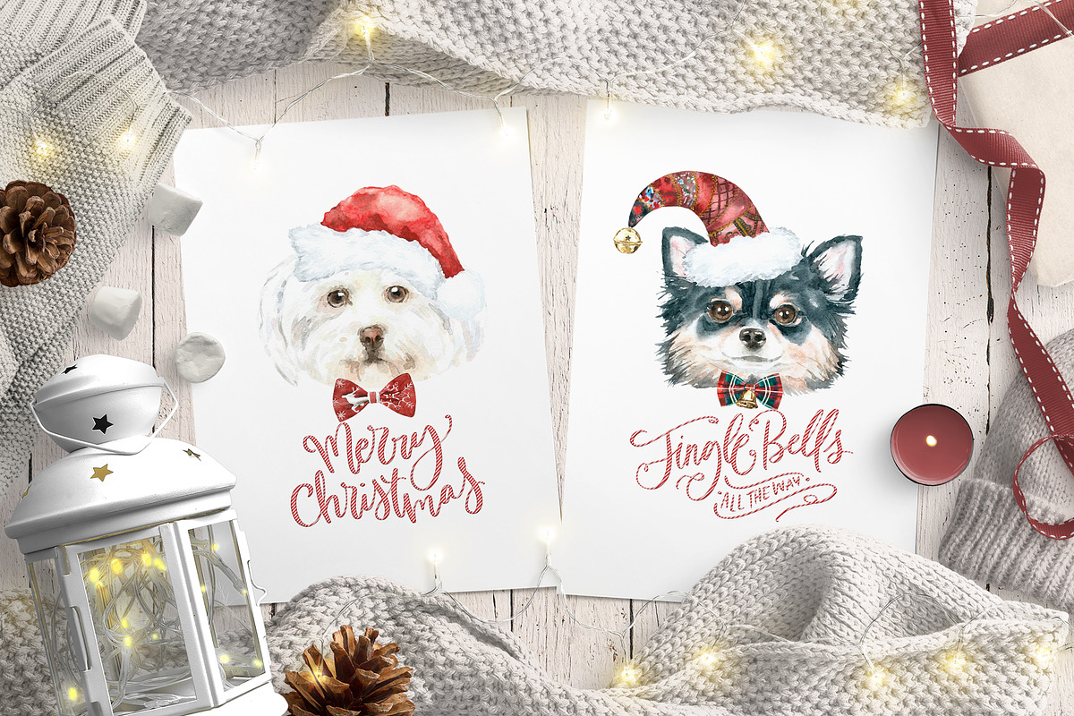 Christmas Character Dogs & Cats, an Animal Illustration by Catherine Wheel (Photo 2 of 23)