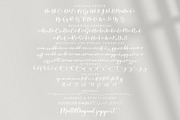 Regista - beautiful script font, a Script Font by ribethstudio (Thumbnail 9 of 12)