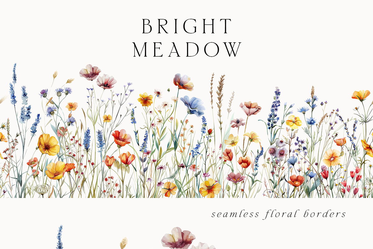 Waterolor Floral Borders Bundle, a Decorative Illustration by Lana Elanor (Photo 77 of 97)