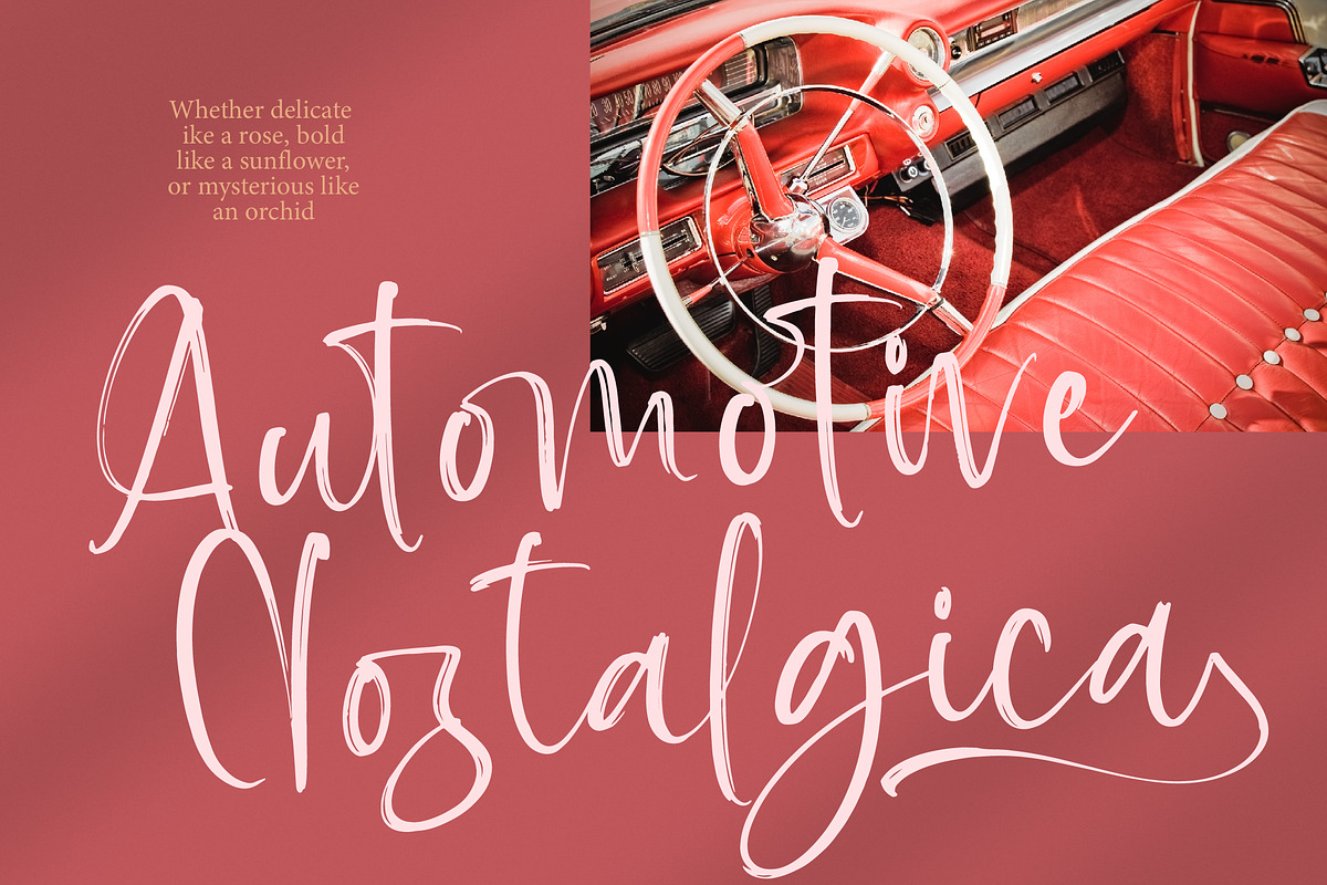 Baplosy Startera Bold Brush Font, a Script Font by Letterena Studios Script (Photo 4 of 20)