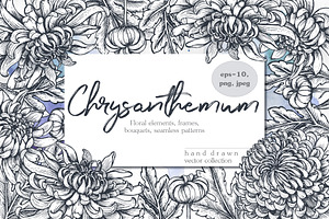 Chrysanthemum vector set, a Decorative Illustration by Molly art