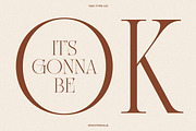 TAN - NIGHTINGALE, a Serif Font by TanType (Thumbnail 10 of 15)