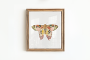 70 Watercolor Luna Moth Clipart, an Animal Illustration by Digital Museum (Thumbnail 3 of 7)
