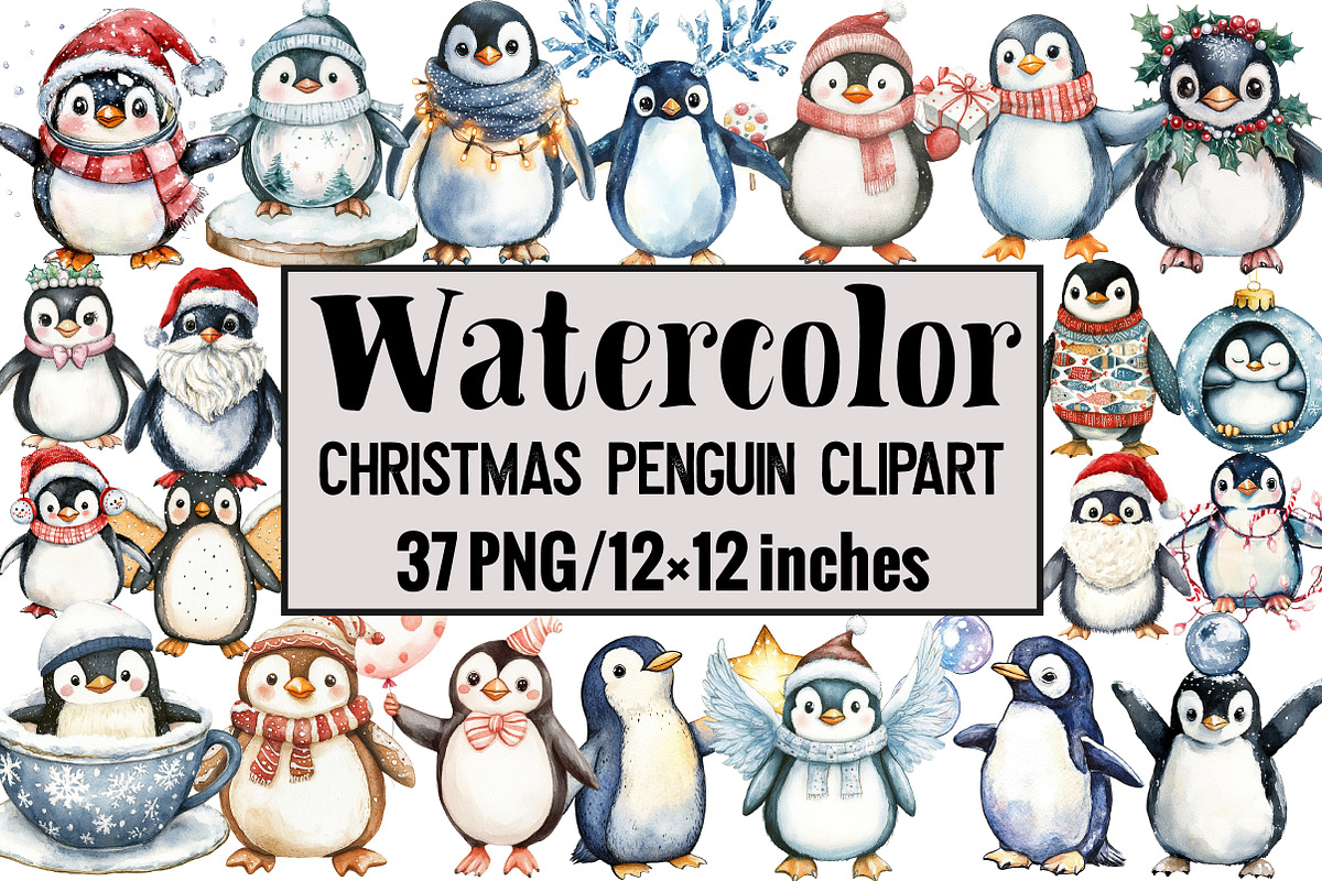 Christmas Penguin Clipart, an Illustration by Design Market (Photo 1 of 4)