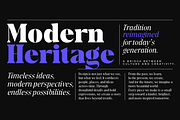 Agrestin, a Serif Font by Black Studio (Thumbnail 14 of 15)