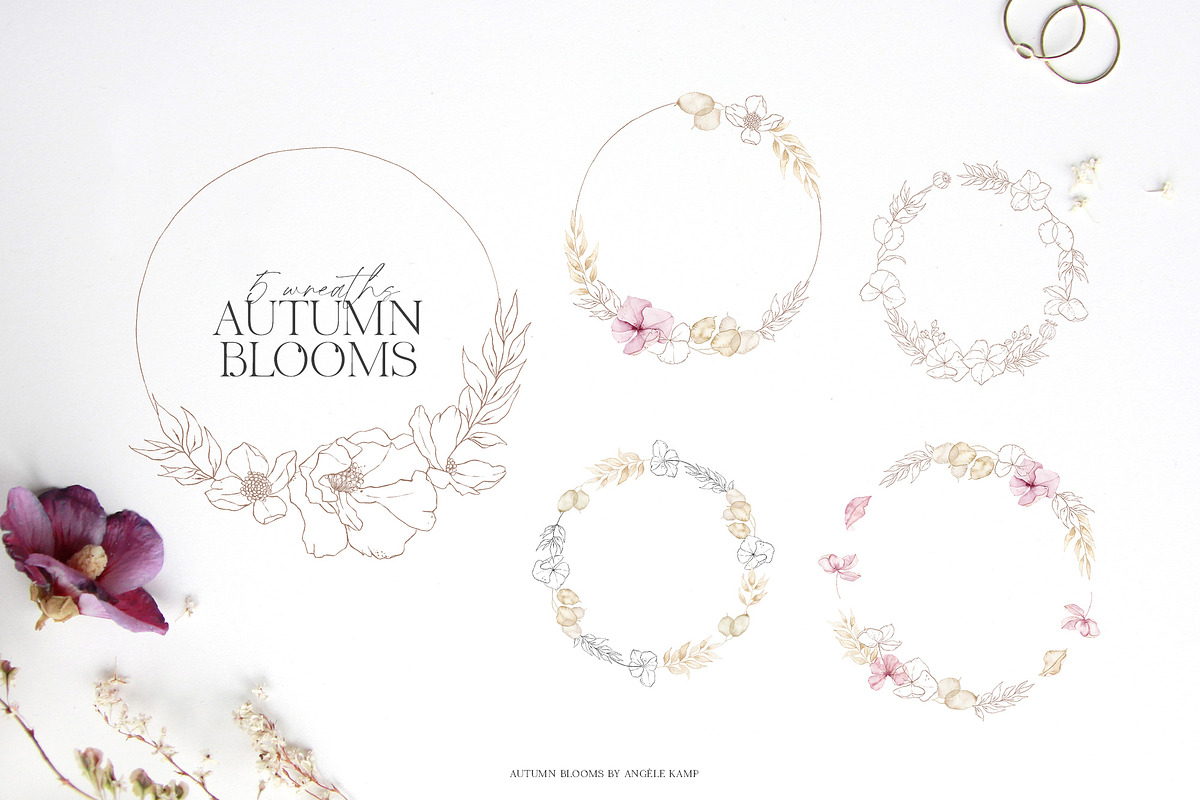 Autumn Blooms watercolor flowers, an Illustration by Angele Kamp (Photo 4 of 8)