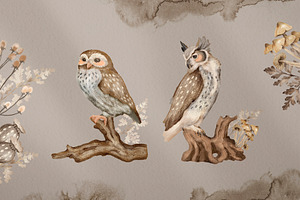 Owls Story Watercolor Forest Clipart