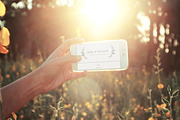 Botanica - WordPress Wedding Theme, a WordPress Template by Europe.graphics (Thumbnail 3 of 7)