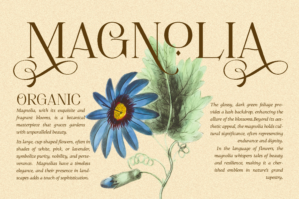 Movich | Uniquely Serif Font, a Serif Font by anOra.std (Photo 3 of 12)