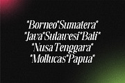 Plantround, a Serif Font by Pustudio (Thumbnail 5 of 9)