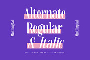 Magrefin Modern Display Font, a Serif Font by Letterena Studios (Thumbnail 12 of 15)