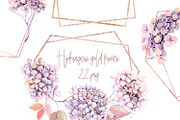 Snake Hydrangeas Garden Clipart, a Decorative Illustration by Shabbypie (Thumbnail 2 of 20)