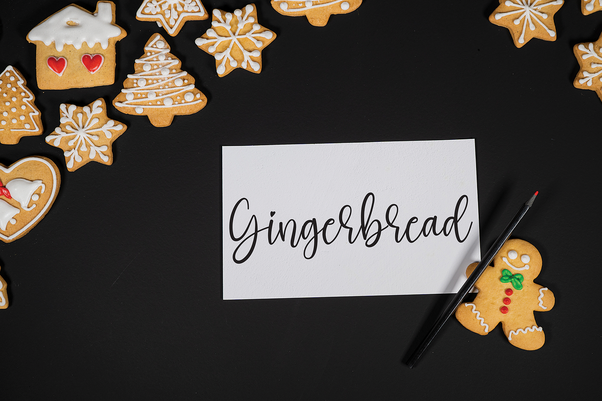 Blackbeer | Script Font, a Script Font by Scratchones (Photo 3 of 6)