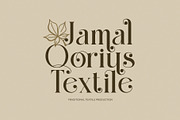 Mikgin Elegant Ligature Serif Font, a Serif Font by Perfectype (Thumbnail 2 of 8)