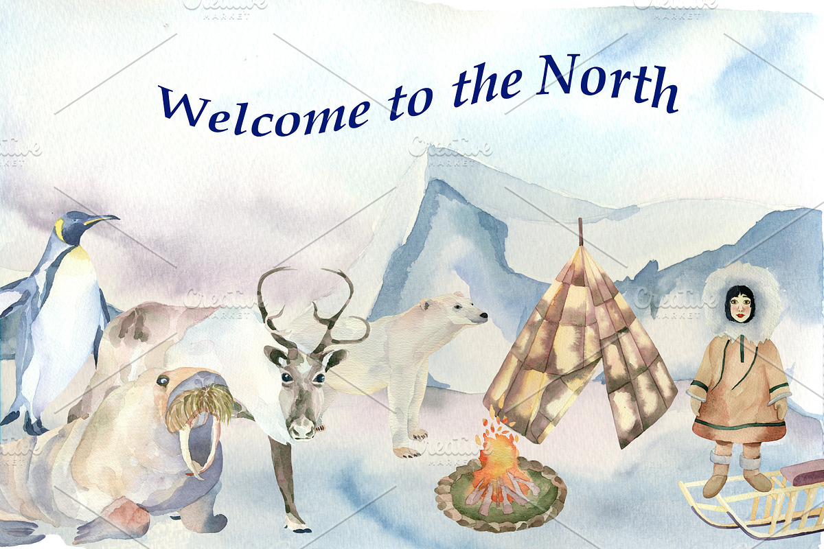 Welcom to the North!, an Animal Illustration by Watercolor arts (Photo 1 of 5)