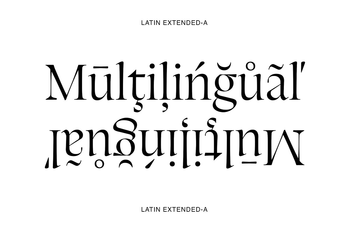 Silene - Elegant Serif Typeface, a Serif Font by Piotr Łapa (Photo 8 of 12)