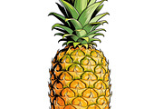 All Fruits Bundle Master Collection, a Food & Drink Photo by FlyeredTemplate (Thumbnail 85 of 130)