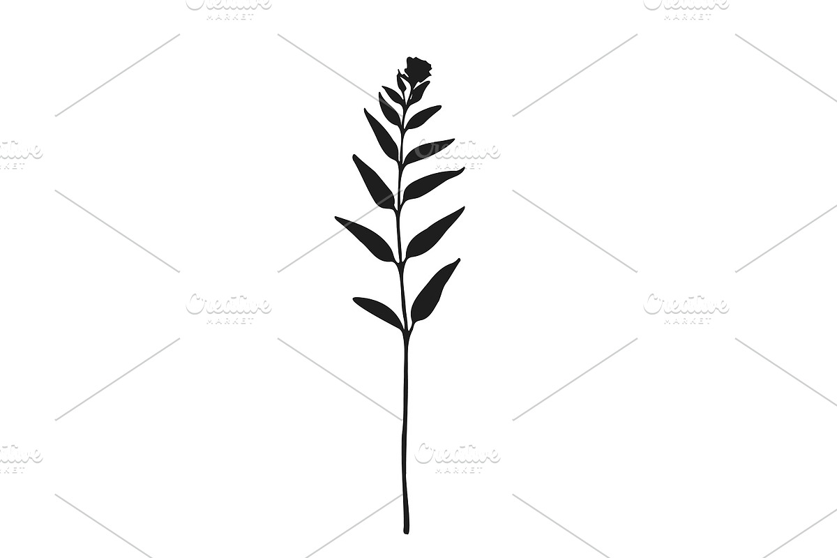 Botanical bundle - svg, png, a Decorative Illustration by Watercolor_Vector Graphic (Photo 12 of 26)