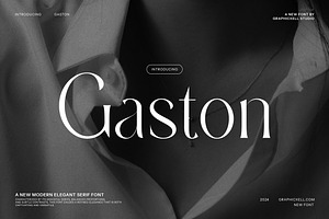 Gaston - Modern Serif Font