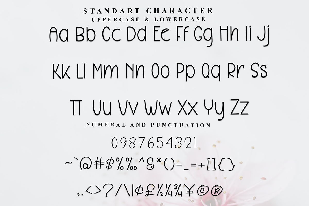 Beach Cottage, a Sans Serif Font by InermediaSTUDIO (Photo 4 of 7)