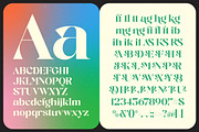 Angika Besfly Serif Display Font, a Serif Font by timelesstype.co (Thumbnail 6 of 10)