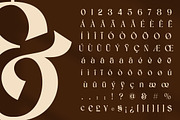 Effyra - Classy Stylish Font, a Serif Font by Randi Irvan | Rvandtype (Thumbnail 12 of 12)