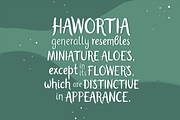 Haworthia. Multilingual Script Font., a Script Font by Cmeree (Thumbnail 5 of 7)
