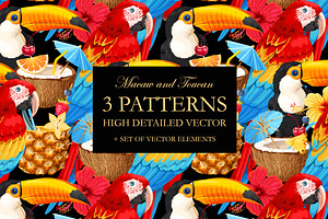 Macaw And Toucan Patterns