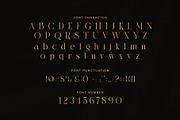 Ramide Elegant Serif Font, a Serif Font by Graphicxell (Thumbnail 7 of 8)