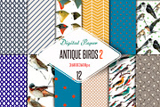 Antique birds 2 Digital Paper, a Texture Graphic by JAY MID IMAGE (Thumbnail 1 of 4)
