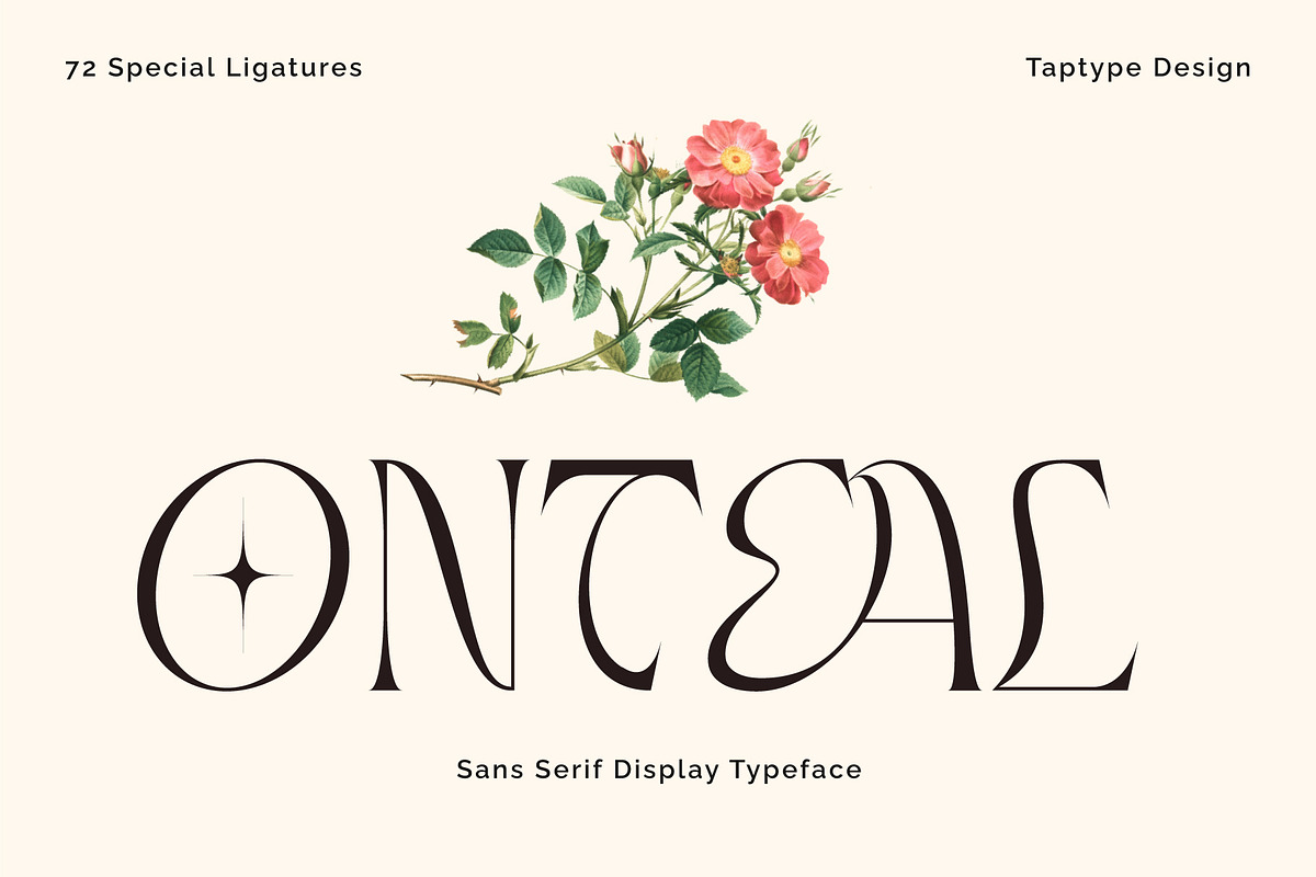 Onteal - Serif Display Ligature Font, a Serif Font by Vesvocrea (Photo 1 of 9)