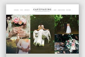 Captivating Wordpress Theme