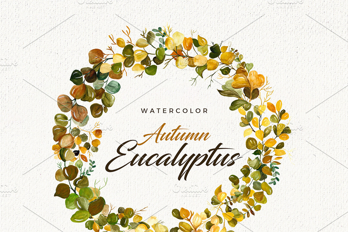 Watercolor Eucalyptus Branches, an Illustration by Mia Digital (Photo 3 of 5)