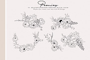 Peonies Hand Draw, an Illustration by Luiz da Rolt Grathwohl (Thumbnail 6 of 8)