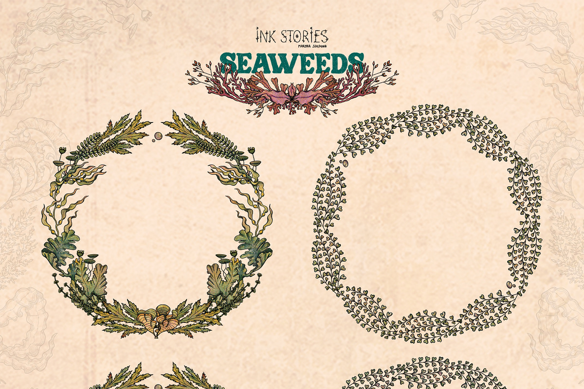 Seaweeds, an Object Illustration by Ink Stories (Photo 7 of 24)