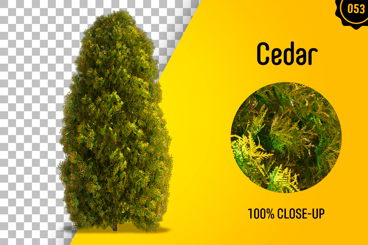 CUT OUT TREES - 60 PCS BUNDLE, a Packaging Mockup by 3DSTORE (Photo 54 of 63)