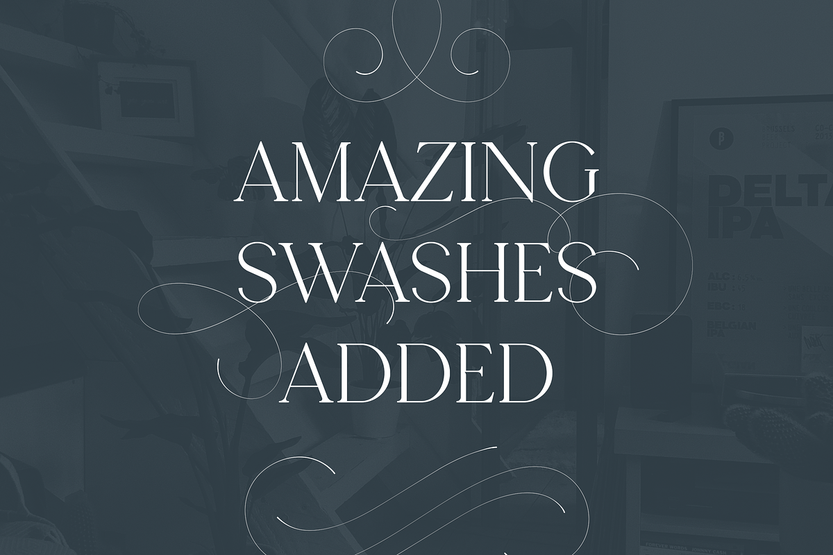 Seafont - serif typeface, 25 styles, a Serif Font by VP Fonts (Photo 13 of 15)