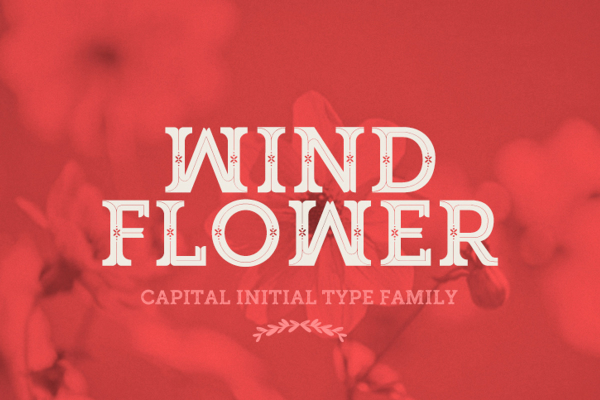 WINDFLOWER | FONT
