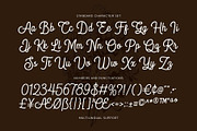 Blandony - Modern Vintage Monoline, a Script Font by Novitype (Thumbnail 12 of 12)