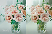 Kodak Ektar 100, a Preset Add-On by colorituals (Thumbnail 8 of 8)