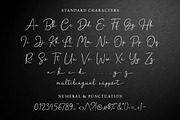 Hanston | Signature Font, a Script Font by Weape Studio (Thumbnail 11 of 12)