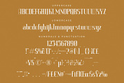 Vittorika Modern Serif Font, a Serif Font by Letterena Studios (Thumbnail 13 of 15)