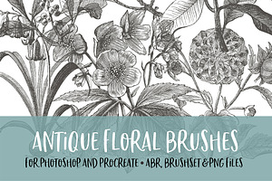 Antique Florals Brush For PS/PRO