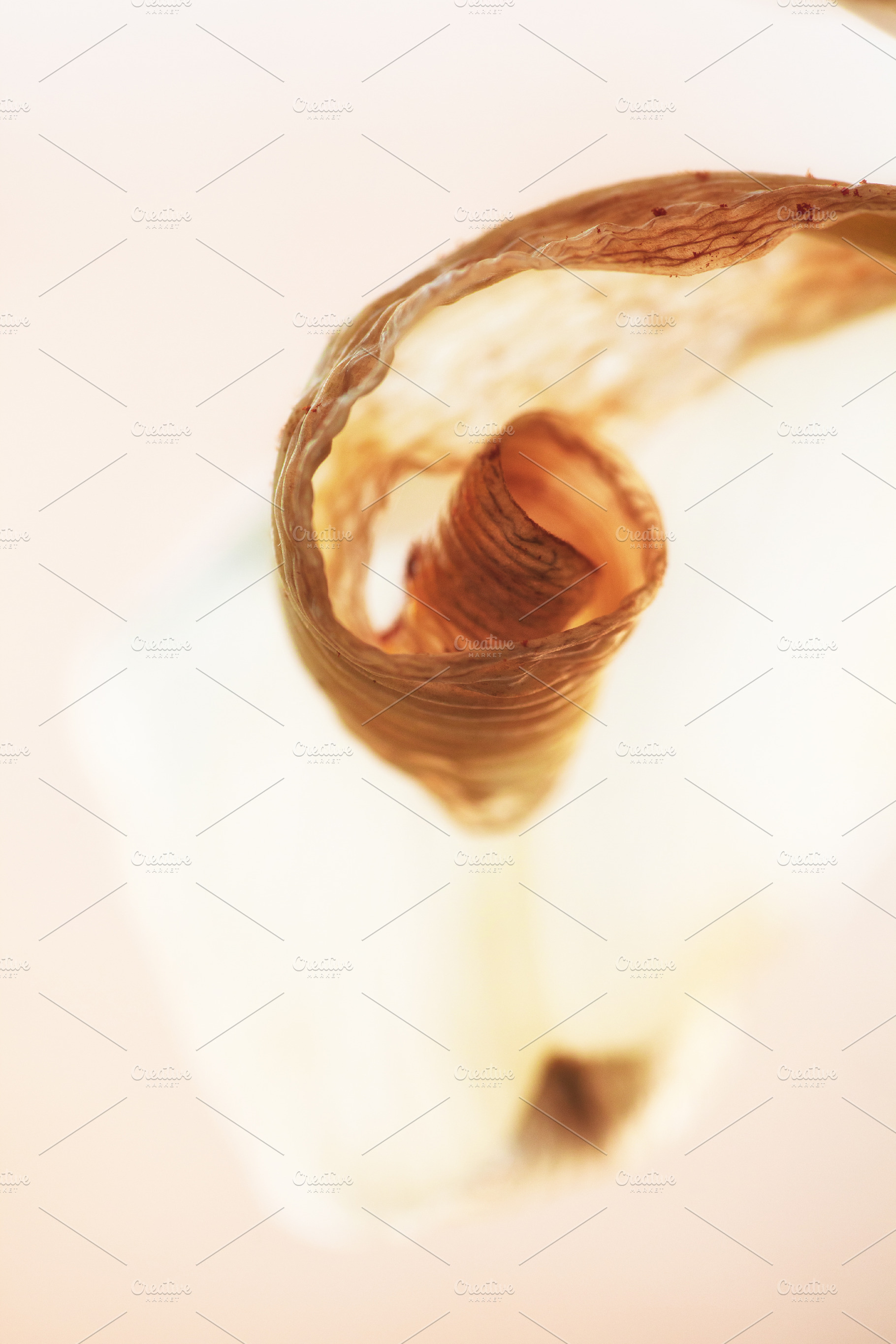 Vertical macro shot of a dry flower petal curled into a warm spiral. Extreme cl, a Nature Photo by Rohan Photography