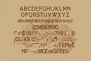 Raider Knight Serif Display Typeface, a Sans Serif Font by Storytype Studio (Thumbnail 13 of 15)