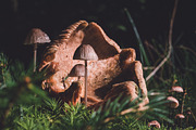Fine Art Lightroom Presets - Bundle, an Action Add-On by PhotoMarket (Thumbnail 17 of 103)