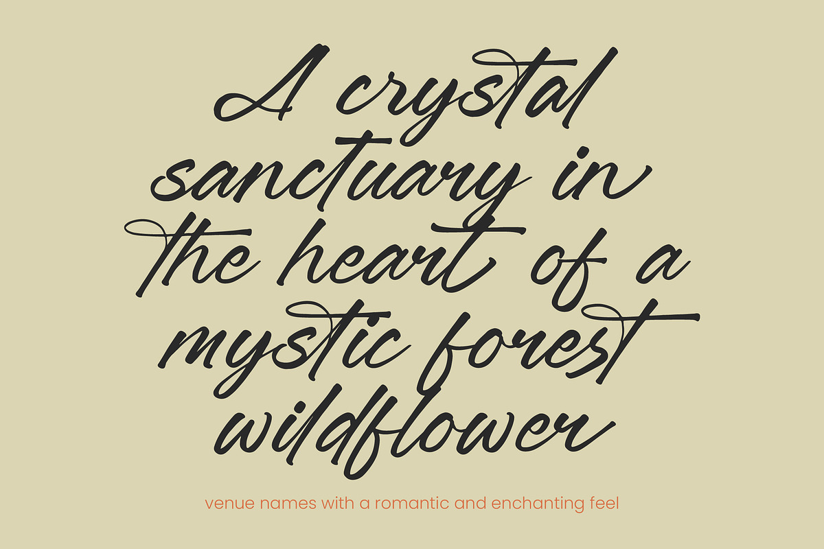 Jonthay Stattera Modern Script Font, a Script Font by Letterena Studios Script (Photo 6 of 20)