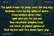 Bellingham, a Serif Font by Zaenal Studio (Thumbnail 4 of 11)